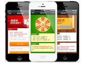 石家莊某科技公司涉嫌開發并銷售非法“轟炸群發”手機軟件被查處